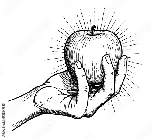 Bare Hand Holding Apple with Sun Ray Shining Effect Vintage Black and White Outline Line Art Drawing