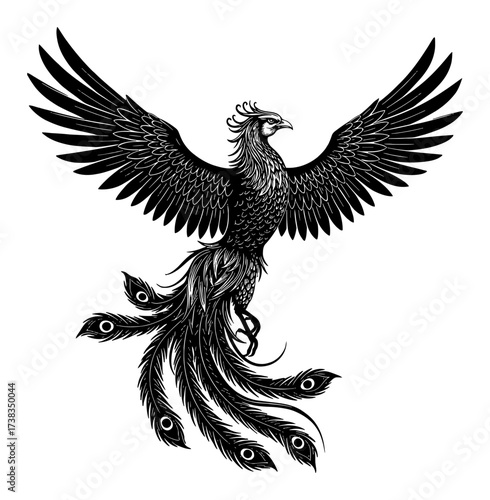 Magnificent Phoenix with Spreading Wings and Detailed Tail Black and White Outline Line Art Drawing