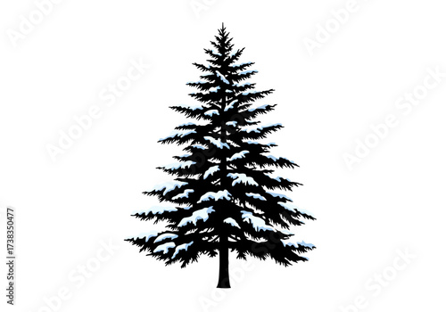 Silhouette of a Snow-Covered Evergreen Tree with a Classic Conical Shape.