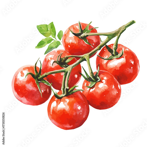 minimal yet artistic elements for creative designs. hand-drawn paint, Simple Illustration, A beautiful painting of cherry tomato set, EPS format, isolated on a white background, watercolor style	