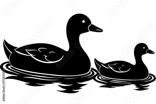 A duck family swimming in a calm pond