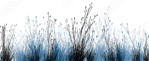 Abstract Floral Illustration with Indigo and Dark Grey Grass on White Background Vector Art