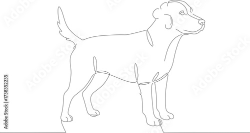 Continuous Line Drawing of Detailed Domestic Canine Animal Illustration