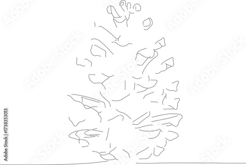 Minimalist Line Art Detail Pinecone Nature Drawing Isolated Illustration