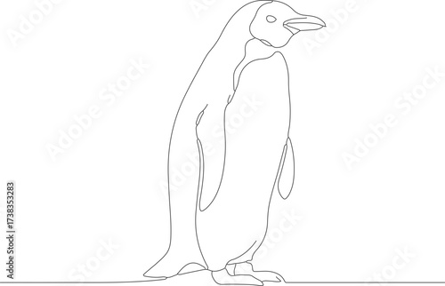 Minimalist Single Line Art Penguin Bird Illustration Graphic Design