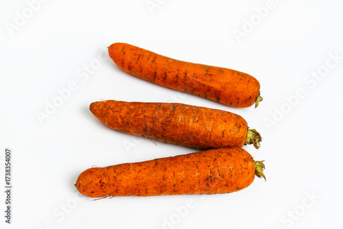 Fresh dirty carrots on white background. Freshly dug carrots. Dirty carrot with ground isolated on white background.