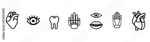 Anatomical Body Parts Line Art Illustration Featuring Heart Eye Tooth Hand Mouth and Skeleton
