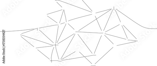 Line Art Conceptual Abstract Connection Network Graph Structure Illustration