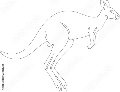 Continuous Line Art Kangaroo Animal Wildlife Jumping Mammal Illustration