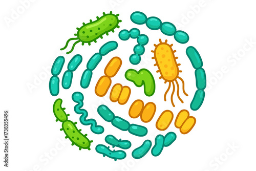 Probiotic bacteria vector set. Gut microbiota concept with healthy prebiotic bacillus. Lactobacillus, acidophilus, bifidobacteria illustration for digestive system health and science.
