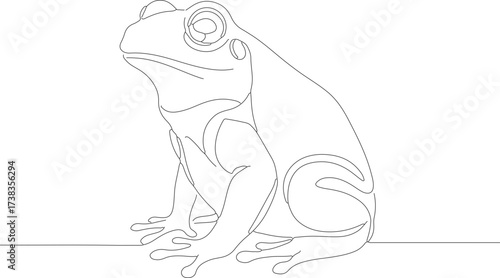 Continuous Line Drawing Detailed Frog Amphibian Wildlife Animal Illustration