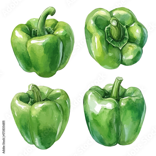 hand-drawn paint, Simple Illustration, A beautiful painting of green bell pepper, EPS format, isolated on a white background, watercolor style, minimal yet artistic elements for creative designs	