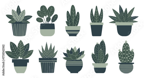 Collection of potted houseplants with various shapes and sizes.