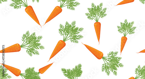 Fresh carrots with green leafy tops arranged on a white background.