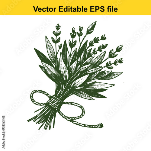 Vector art of hand drawn bouquet of herbs tied with twine