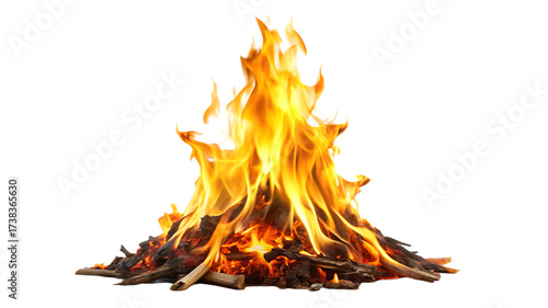 Realistic campfire with burning wood and bright flames isolated on transparent background