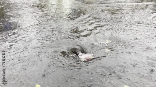 Rainwater flows into the sewer through the grate of the city sewer.
