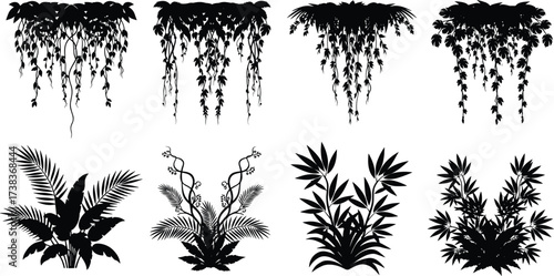 Plant silhouette, hanging foliage, upright bush, botanical design, black illustration, nature texture, leaf pattern, indoor greenery, organic shape, calm scene