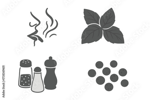 Spice and seasoning icon set. Vector collection of taste and aroma symbols. Includes salt and pepper shakers, peppercorns, basil leaves and nose smelling food scent. Isolated.