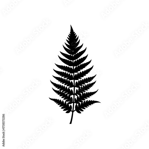 Silhouette of a fern leaf on white background on transparent background