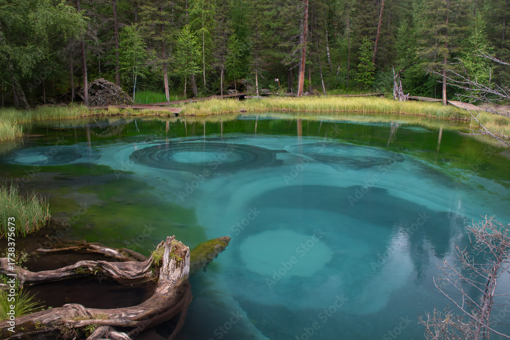 Fototapeta premium Turquoise Lake in a Forest