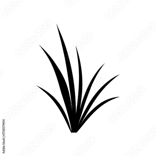 Silhouette of grass blades on white field on transparent background
