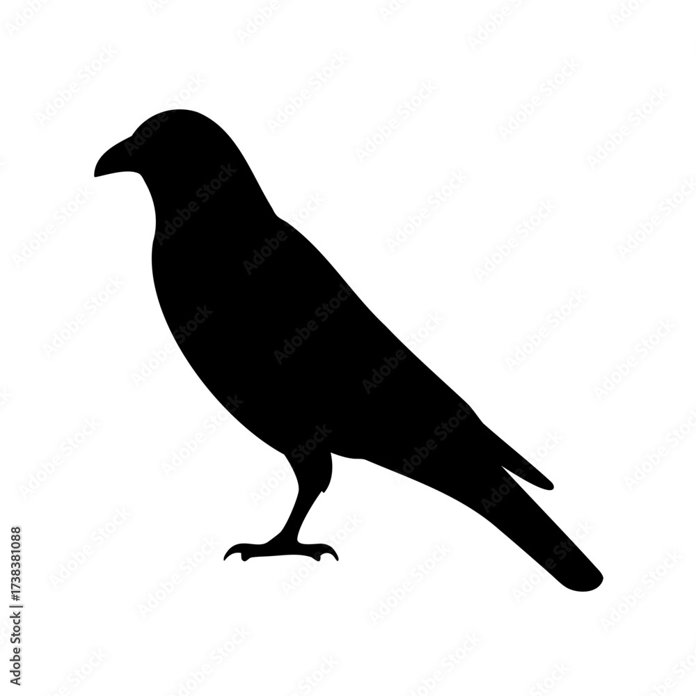 Obraz premium Black silhouette of a standing crow or raven against a white background