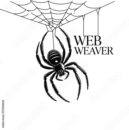 Detailed Spider Illustration Featuring a Spiderweb and the Words Web Weaver in Bold Letters, Creating a Spooky and Intricate Design