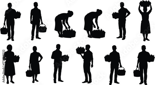 Silhouettes of people carrying and picking fresh fruits and vegetables from baskets, representing harvesting and healthy eating