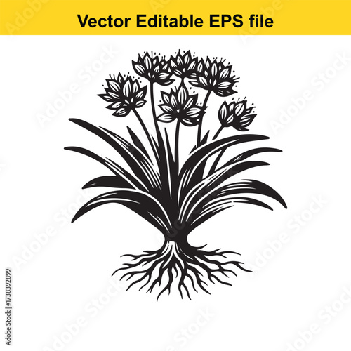 Vector art of black and white illustration of a flowering plant with roots