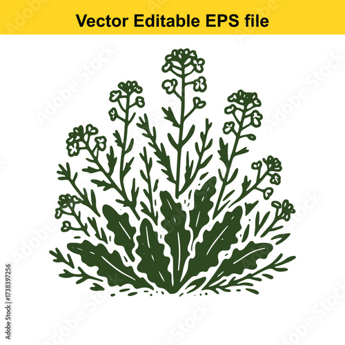 Illustration of a green flowering plant