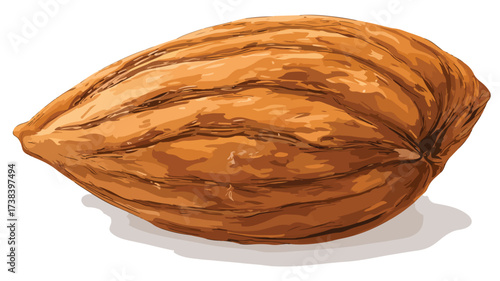 Nutrition-Rich Almonds Whole Nuts Vector Illustration