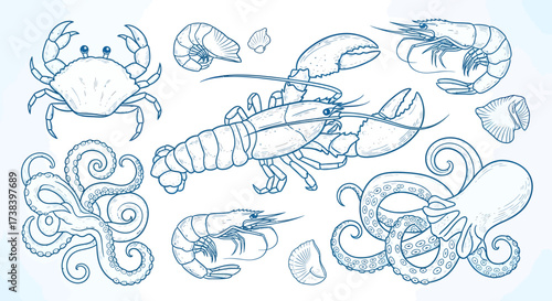 Illustration of various seafood including crab, lobster, octopus, and shrimp.