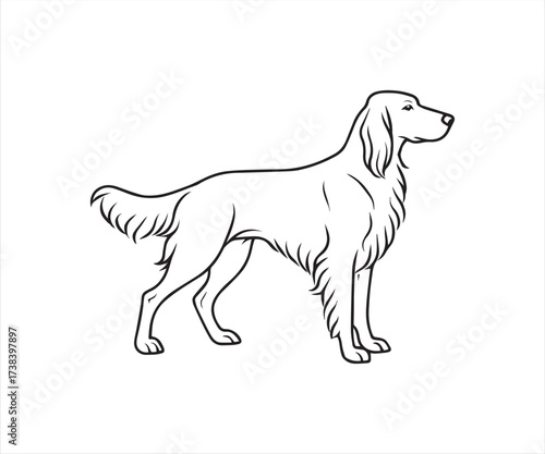 English Setter Dog Outline – Elegant Standing Dog Line Drawing