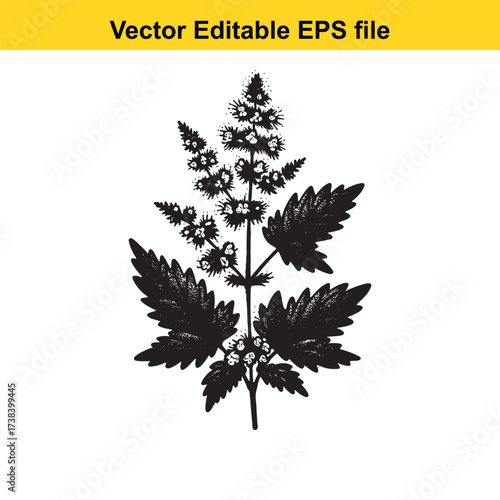 Vector art of black and white illustration of a flowering plant