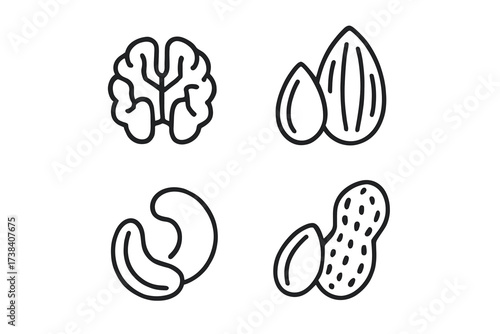 Outline icons of brain, almonds, cashews, and peanuts representing healthy snacks