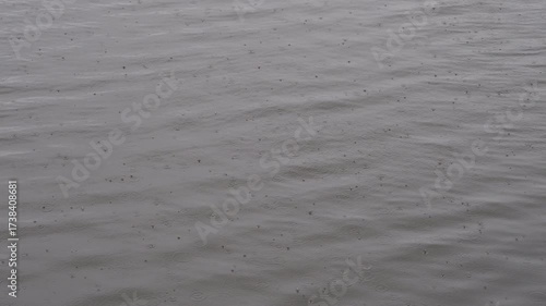 雨と波紋が描く静かな海の表情