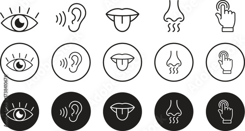 Human senses icon set. Five human senses icons isolated on transparent background. Vision, smell, hearing, touch and taste senses filling sign. Five senses of human nervous system. Vector illustration