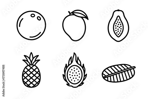 Stylized outline icons of mango, pineapple, papaya, dragon fruit, and coconut