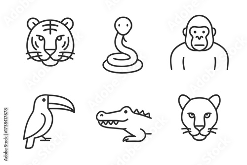 Outline icons of tiger, snake, gorilla, toucan, crocodile, and panther