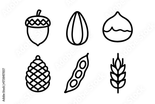 Black and white outline icons of nuts and seeds: acorn, sunflower seed, chestnut, pine cone, peapod, wheat
