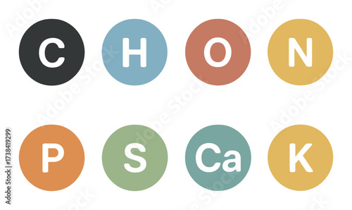 Essential elements for life: chonps cak highlighted on colorful background
