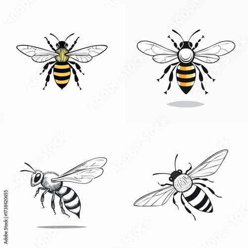 Bees in Various Poses - Detailed Insect Illustrations.