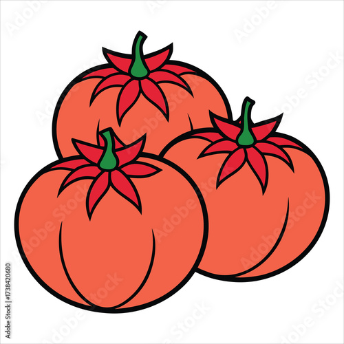 tomato on a white background