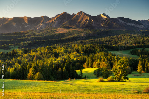 Fototapeta Naklejka Na Ścianę i Meble -  Autumn has arrived in the Tatra (Tatry) mountains, warm tones, and yellow is slowly enveloping across peaks and forest. Łapszanka - Bielskie Tatras in Slovakia