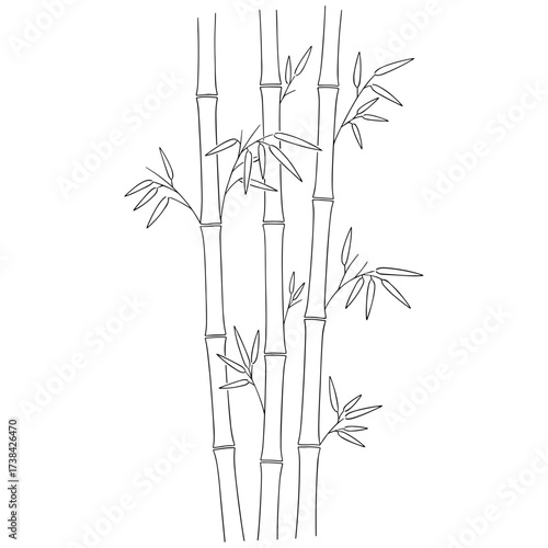 bamboo line art in black white