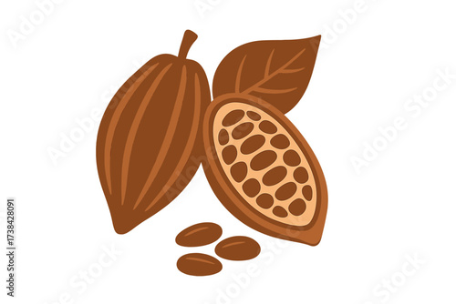 Cocoa pod and beans illustration. Isolated vector logo set of cacao fruit. Raw chocolate ingredient. Natural organic food icon. Fresh ripe cacao beans and leaf design element.