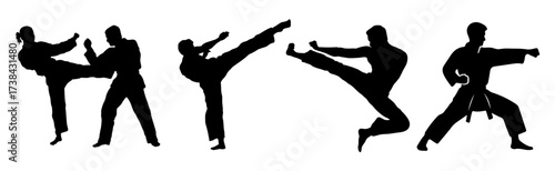 Silhouette of martial artists performing various kicks and stances for fitness and self defense