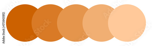 Abstract color gradient five circles orange peach tones horizontal design simple background graphic