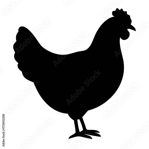 Black and White Chicken Silhouette Realistic High Contrast Poultry Illustration